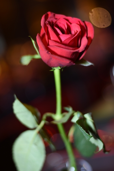 Valentine's at Bar ThreeSixty